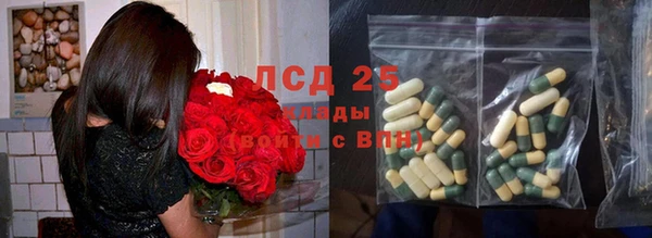 прущие грибы Костерёво