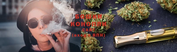 прущие грибы Костерёво
