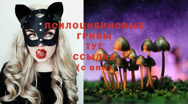 дживик Коряжма