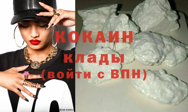 прущие грибы Костерёво