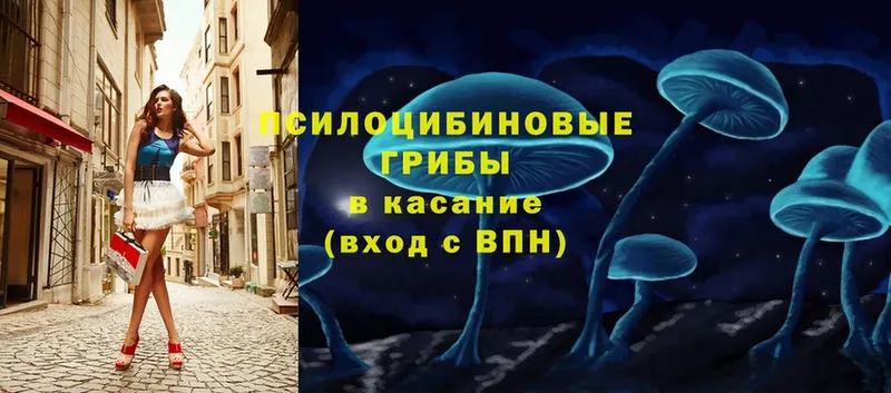 Галлюциногенные грибы Magic Shrooms  площадка наркотические препараты  Новомичуринск  mega онион 