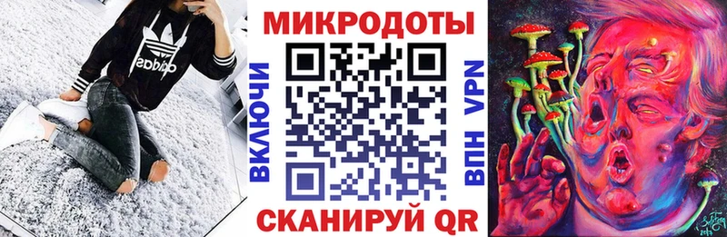 blacksprut ссылки  Новомичуринск  Галлюциногенные грибы Psilocybe 